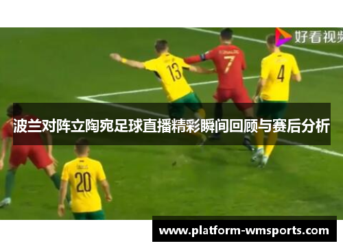 波兰对阵立陶宛足球直播精彩瞬间回顾与赛后分析